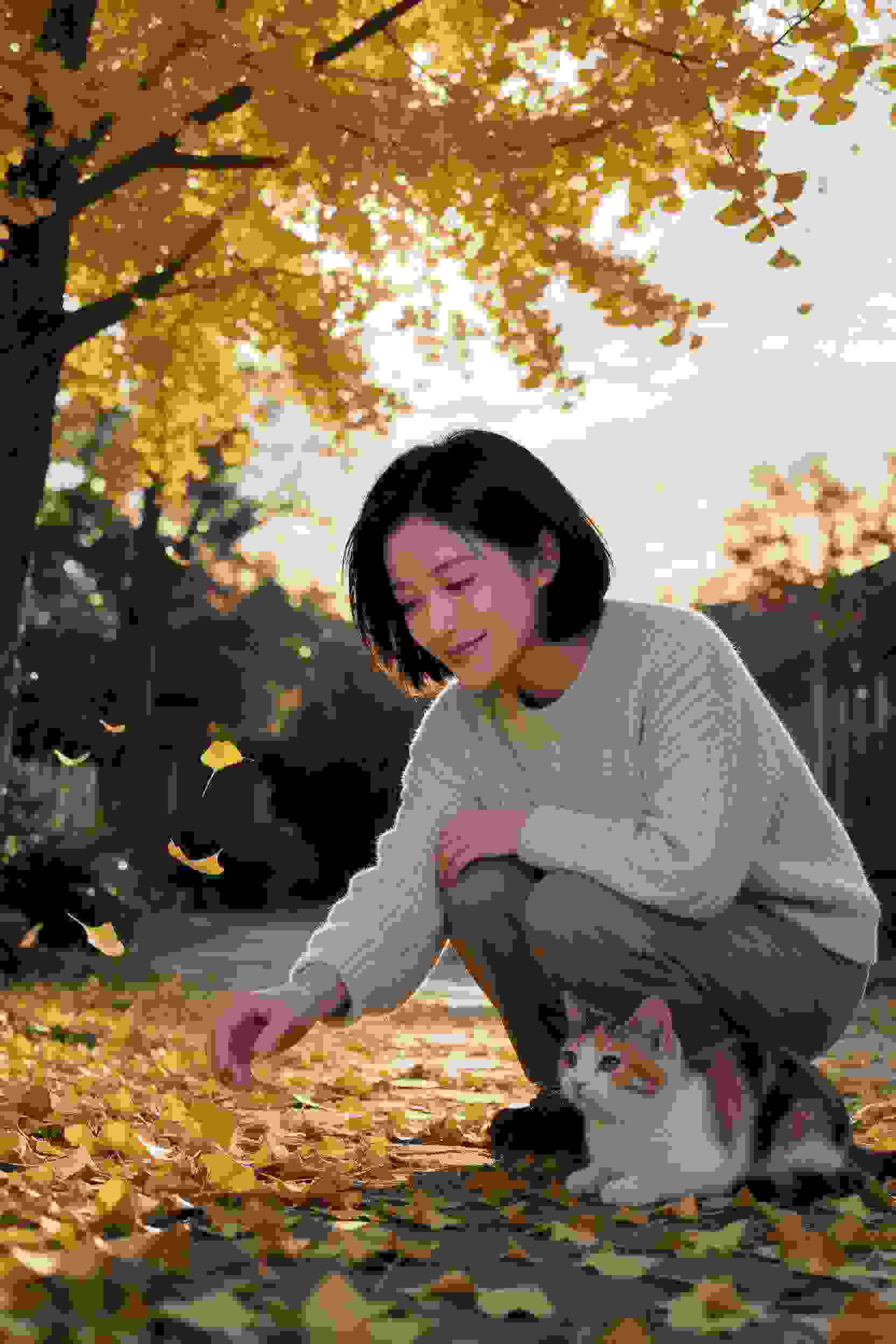 谜局